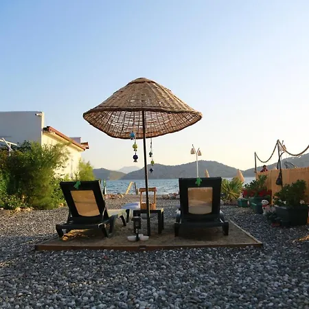 Tiny House Cactus Söğüt