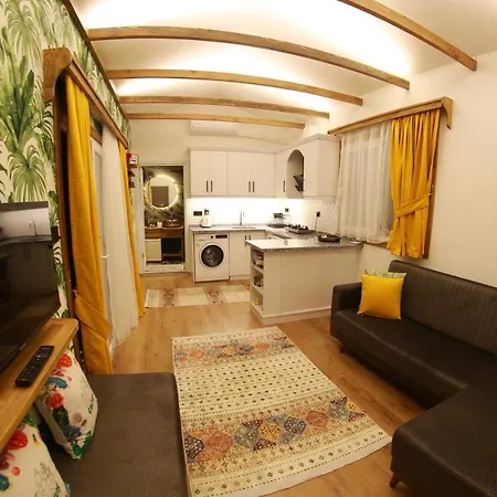 Дом отдыха Tiny House Cactus Soeguet *