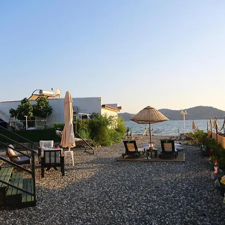 Tiny House Cactus Söğüt Tatil Evi Marmaris