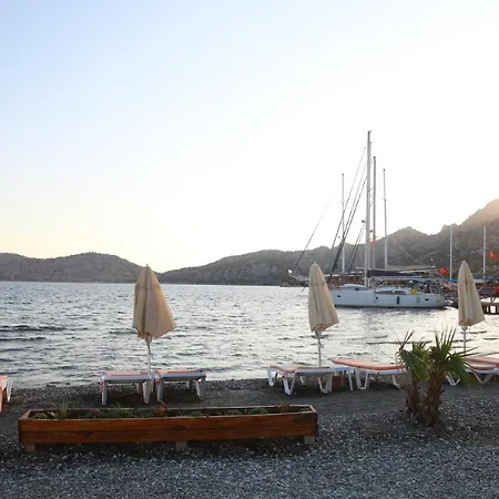 Tatil Evi Tiny House Cactus Söğüt Marmaris