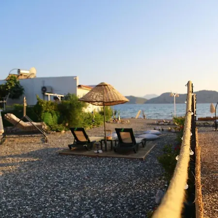 Tiny House Echino Söğüt Marmaris