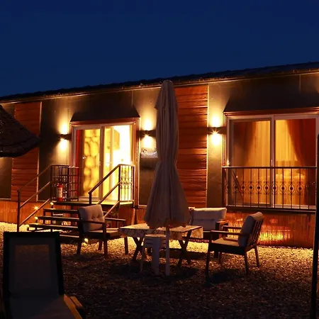 Tatil Evi Tiny House Cactus Söğüt