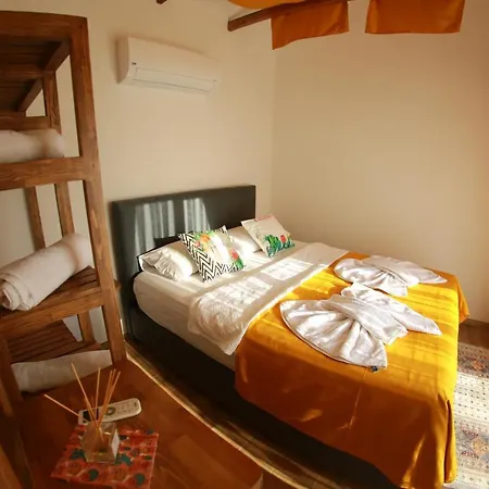 Tiny House Cactus Söğüt *