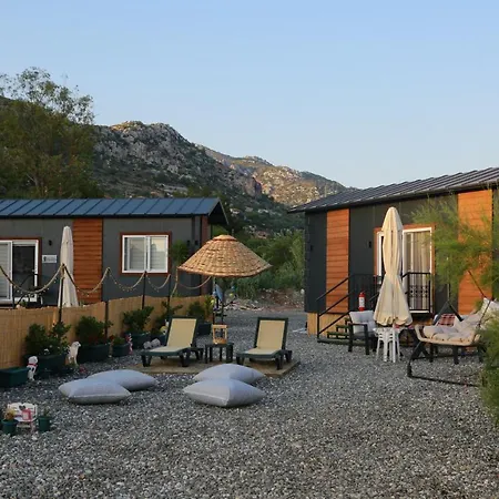 Σπίτι διακοπών Tiny House Cactus Soeguet *