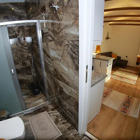 Tiny House Echino Söğüt