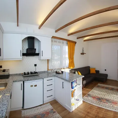 Tatil Evi Tiny House Echino Söğüt *