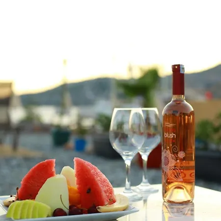 Holiday home Tiny House Cactus Soeguet Marmaris